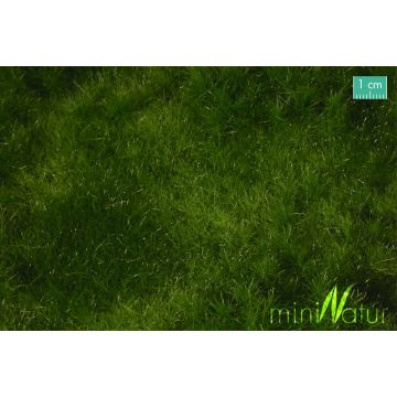 Mininatur Vruchtbare weide - Zomer - ca. 25x15,5cm - H0 / TT (733-22S)