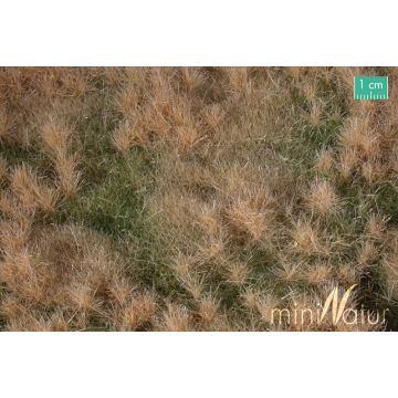 Mininatur Vruchtbare weide - Late herfst - ca. 25x15,5cm - H0 / TT (733-24S)