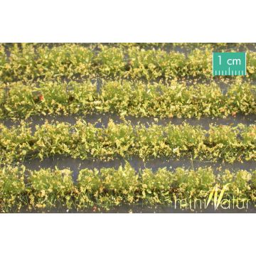 Mininatur Bloemenveld strepen - Geel - ca. 210cm - H0 / TT (767-22)