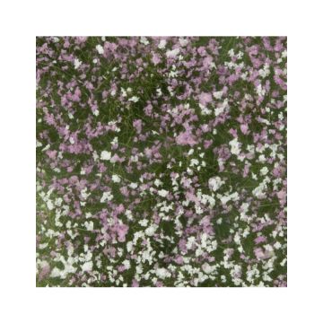 Mininatur Bloemen struiken - Vroege herfst - ca. 15x4cm - H0 / TT (726-23S)