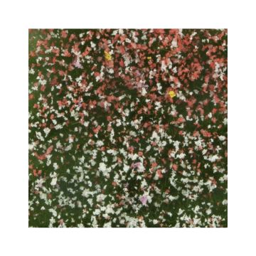 Mininatur Bloemen struiken - Zomer - ca 7,5 x 4 cm - H0 / TT (726-22MS)