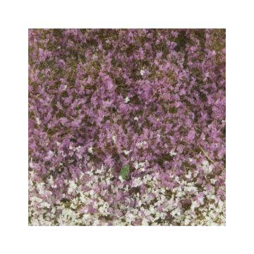 Mininatur Bloemen struiken - Late herfst - ca. 15x4cm - 1:45+ (726-34S)