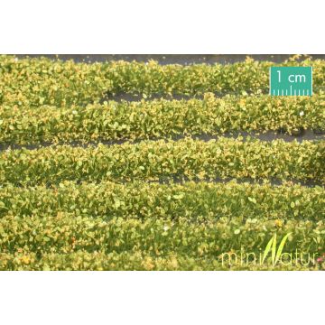 Mininatur Bloesem strepen - Geel - ca. 67cm - H0 / TT (731-22S)