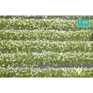 Mininatur Bloesem strepen - Wit  - ca. 67cm - H0 / TT (731-21S)
