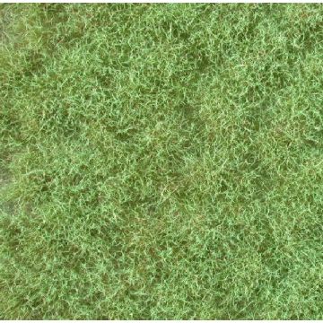 Mininatur Bodembedekker, licht groen - Lente - ca. 15x8cm - H0 / TT (791-22S)