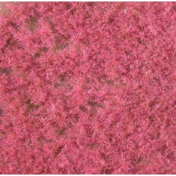 Mininatur Bodembedekker, rose - Lente - ca. 15x8cm - H0 / TT (791-24S)