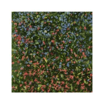 Mininatur Aarbeien zwartebessen struiken - Lente - ca.15x8 cm - H0 / TT (724-21S)