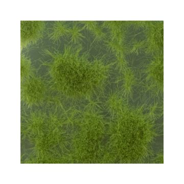 Mininatur Graspollen kort - Lente - ca 7,5 x 4 cm - H0 / TT (717-21MS)