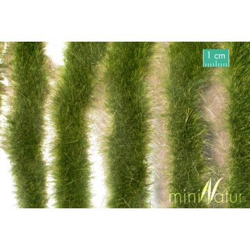 Mininatur Grasstrepen lang - Vroege herfst - ca. 50cm - 1:45+ (728-33S)