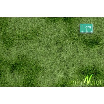 Mininatur Heide - Zomer - ca. 31,5x25cm - H0 / TT (730-22S)