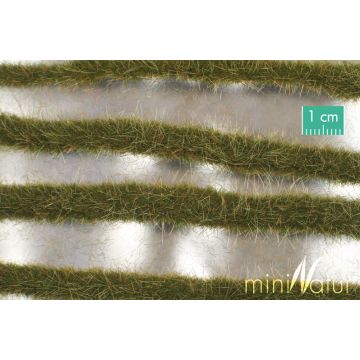 Mininatur Twee kleurige grasstrepen - Vroege herfst - ca. 50cm - 1:45+ (738-33S)