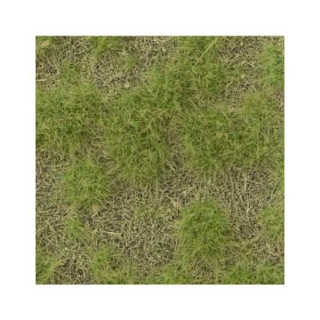 Mininatur Kalkrijke weide - Lente - ca.8 x 15 cm - H0 / TT (719-21MS)