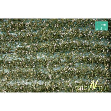 Mininatur Akkerstroken wit bloeiend - Lente - ca. 42cm - H0 / TT (766-25S)