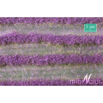 Mininatur Lavendel strepen - Zomer - ca. 336cm - H0 / TT (792-22)