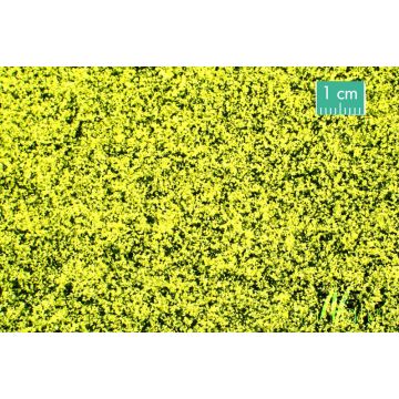 Mininatur Koolzaad veld - Zomer - ca. 31,5x25cm - H0 / TT (760-22S)