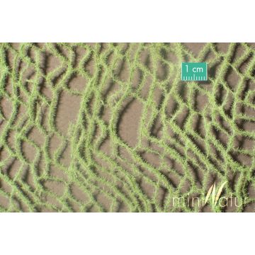Mininatur Paardenstaart - Lente - ca 7,5 x 4 cm - H0 / TT (990-21MS)
