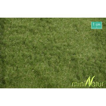 Mininatur Schapenweide - Vroege herfst - ca.15x8 cm - N / Z (715-13MS)