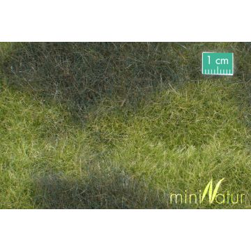 Mininatur Moeras weide - Vroege herfst - ca. 31,5x25cm - H0 / TT (723-23S)