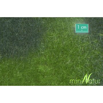 Mininatur Moeras weide - Zomer - ca. 31,5x25cm - H0 / TT (723-22S)