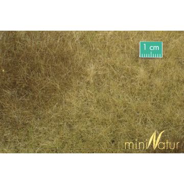 Mininatur Moeras weide - Late herfst - ca. 31,5x25cm - H0 / TT (723-24S)