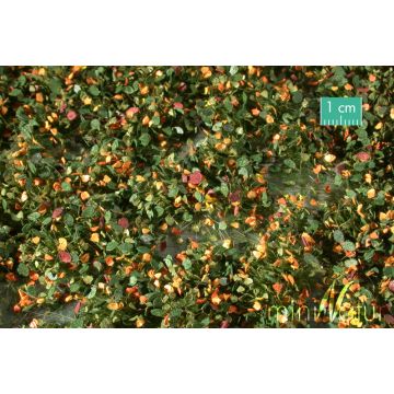 Mininatur Onkruid struiken - Vroege herfst - ca. 15x4cm - 1:45+ (725-33S)