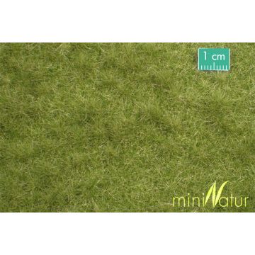 Mininatur Veeweide - Vroege herfst - ca. 31,5x25cm - H0 / TT (713-23S)