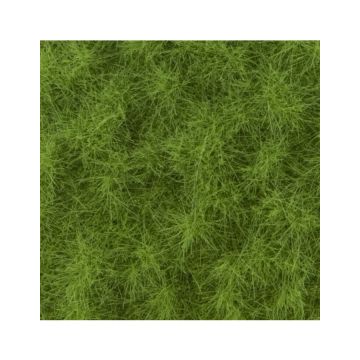 Mininatur Veeweide - Lente - ca. 8 x 15 cm - H0 / TT (713-21MS)