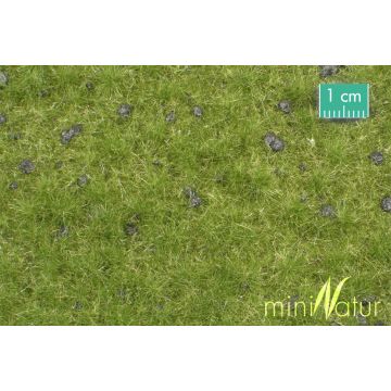 Mininatur Veeweide met molshopen - Vroege herfst - ca. 31,5x25cm - H0 / TT (714-23S)