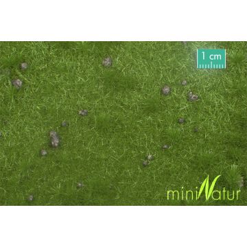 Mininatur Veeweide met molshopen - Zomer - ca. 31,5x25cm - H0 / TT (714-22S)