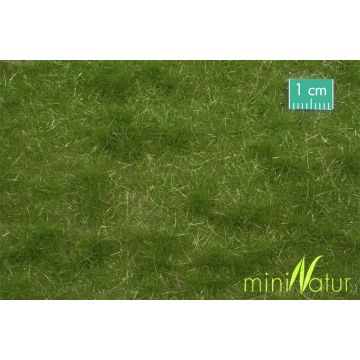 Mininatur Veeweide - Zomer - ca.15x8 cm - H0 / TT (713-22MS)