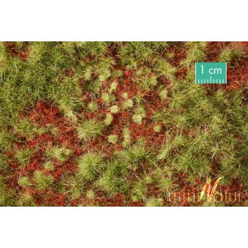 Mininatur Overwoekerde bosgrond - Vroege herfst - ca. 31,5x25cm - H0 / TT (741-23S)