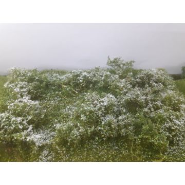 Mininatur Laar - Zomer - ca. 31,5x25 cm - H0 / TT (742-22S)