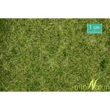 Mininatur Weide - Vroege herfst - ca. 31,5x25cm - H0 / TT (720-23S)