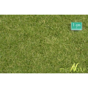 Mininatur Weide - Vroege herfst - ca. 31,5x25cm - 1:45+ (720-33S)