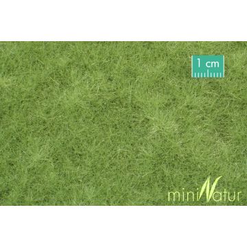 Mininatur Weide - Lente - ca. 31,5x25cm - H0 / TT (720-21S)