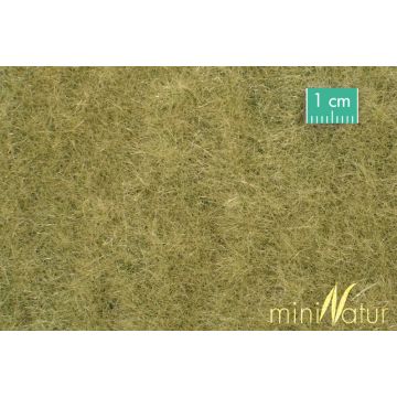 Mininatur Weide - Late herfst - ca. 31,5x25cm - H0 / TT (720-24S)