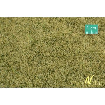 Mininatur Weide - Late herfst - ca. 31,5x25cm - 1:45+ (720-34S)