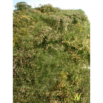 Mininatur Wildernis - Vroege herfst - ca. 25x15,5cm - H0 / TT (732-23S)