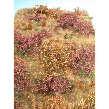 Mininatur Wildernis - Late herfst - ca. 25x15,5cm - H0 / TT (732-24S)