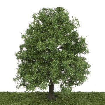 Silhouette Esdoorn - Lente - 40-45cm (331-004-1)