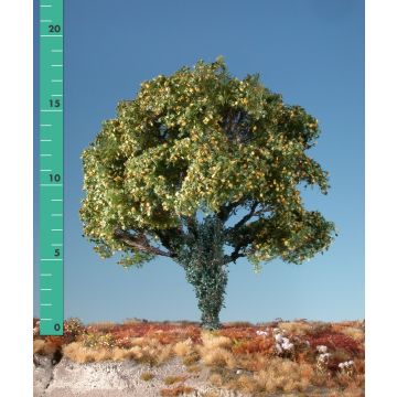 Silhouette Esdoorn met klimop begroeiing - Vroege herfst - 2 (ca. 15-20cm) - H0 / TT (231-23)