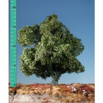 Silhouette Esdoorn met klimop begroeiing - Zomer - 2 (ca. 15-20cm) - H0 / TT (231-22)