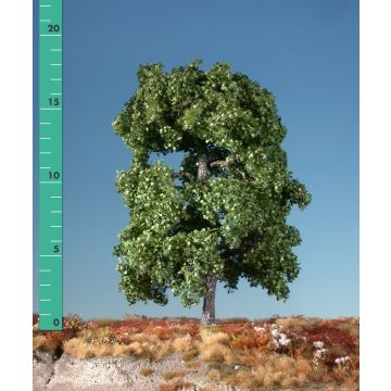 Silhouette Esdoorn - Zomer - 2 (ca. 15-20cm) - H0 / TT (230-22)