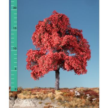 Silhouette Esdoorn - Late herfst (rood) - 0 (< ca. 8cm) (230-05)