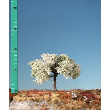 Silhouette Appelboom - Lente - 1 (ca. 10-13cm) - N / Z (226-11)