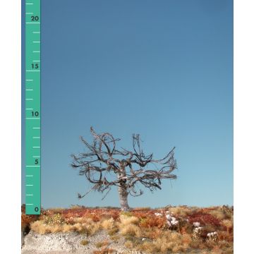 Silhouette Appelboom - Kaal - 1 (ca. 10-13cm) (226-10)