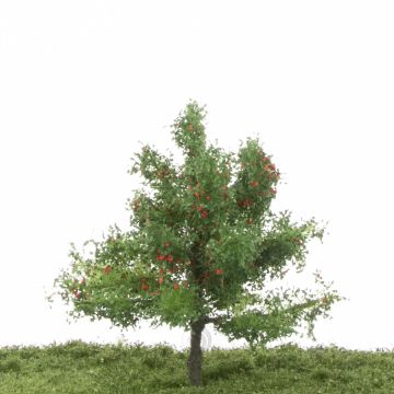 Silhouette Appelboom - Zomer - 1 (ca. 12-16cm) (226-42)
