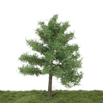 Silhouette Appelboom - Zomer - 30-35cm (326-003-2)