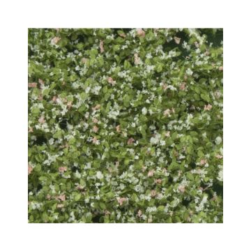 Silhouette Appelboom bloesem - Lente - ca. 63x50 cm - 1:45+ (926-31G)