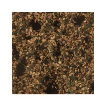 Silhouette Appelboom loof met appels - Late herfst - ca. 15x4cm - H0 / TT (926-24S)